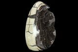 Polished Septarian Geode Sculpture - Black Crystals #99447-2
